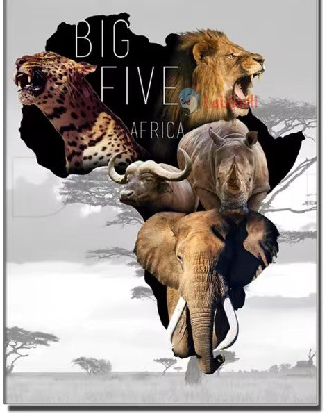 Diamond Painting - Big 5 - Black & White