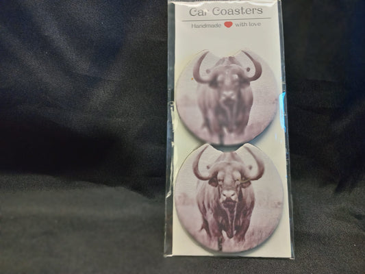 Coasters (set of 2) - Sublimation - Big 5 Pencil - Buffalo